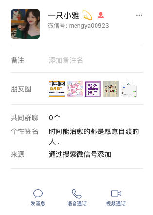 一只小雅美国mengya00923