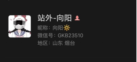 向阳美国GKB23510