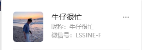 牛仔很忙美国LSSINE-F