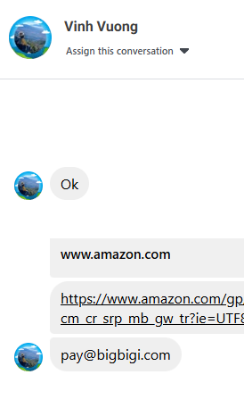 Vinh Vuong美国pay@bigbigi.com