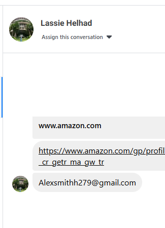 Lassie Helhad美国Alexsmithh279@gmail.com