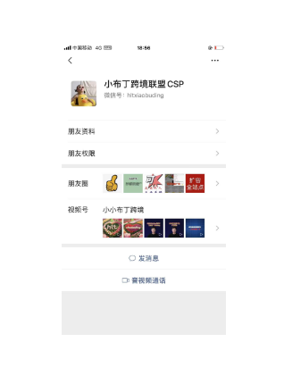 小布丁跨境联盟CSP美国hltxiaobudingxxxxxxxxx@xxxxsxxx