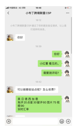 小布丁跨境联盟CSP美国hltxiaobudingxxxxxxxxx@xxxxsxxx