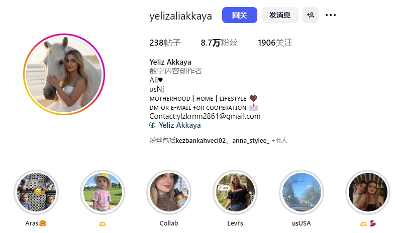 yelizaliakkaya美国ylzkrmn2861@gmail.com