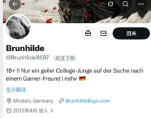 Brunhild/Lukas美国@Brunhilde8597 @Lukas Bvrnn890