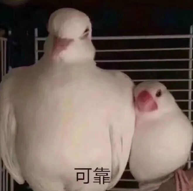 亚马逊新品词海广告 冷启动到盈利全攻略 手把手教会你!美国