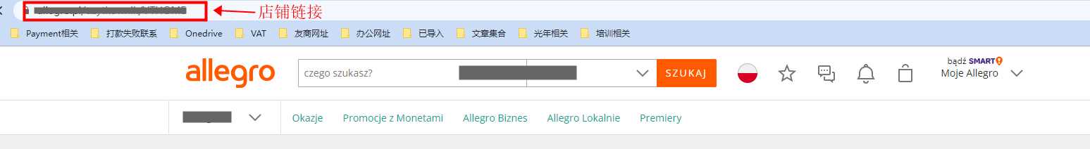 如何获取Allegro店铺首页链接-第2张图片